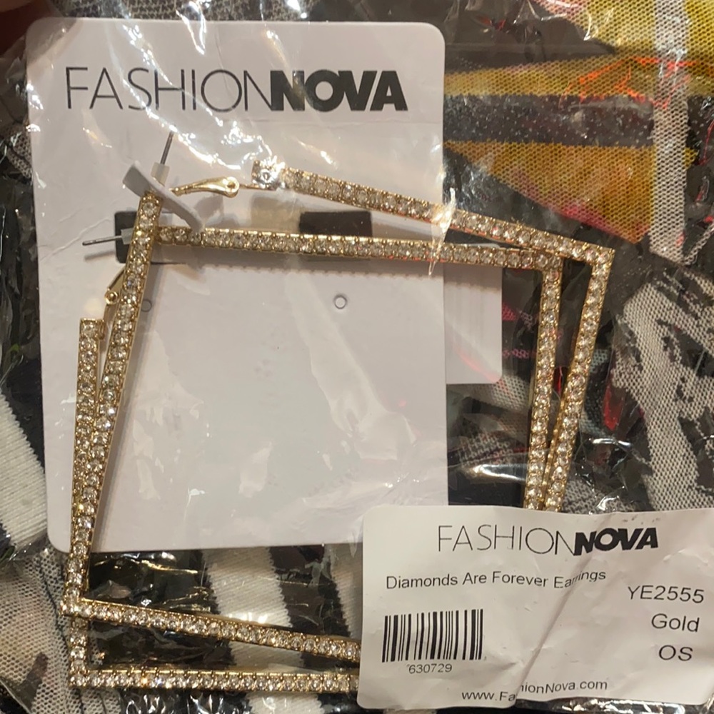 Earrings